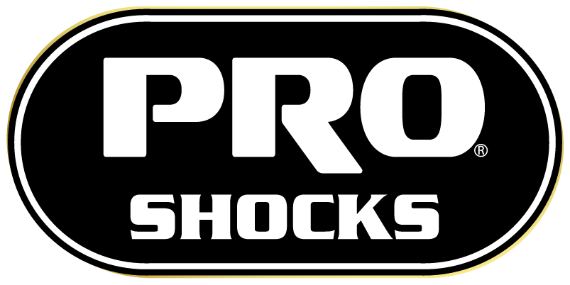 PRO-Logo_2020 (Outline)